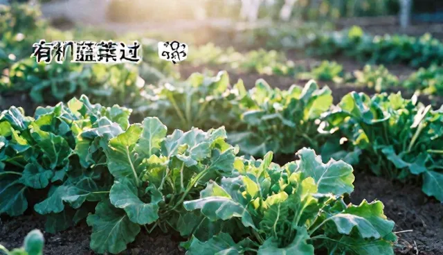 技术服务选型时,如何选择合适的渠道供货方式?